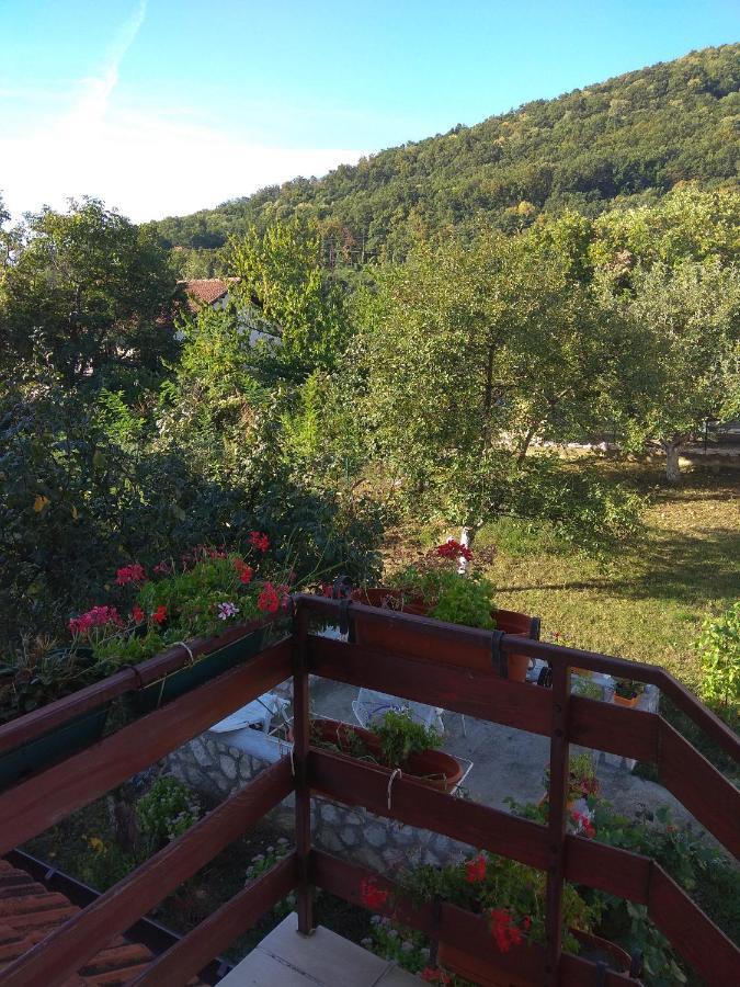Apartman U Bukovickoj Banji Arandjelovac Luaran gambar